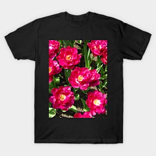 Pink Tulips T-Shirt